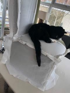 A cat sitting on a calico toile during cover making